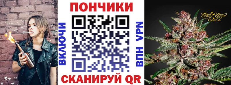 даркнет телеграм  Сенгилей  Шишки марихуана конопля 